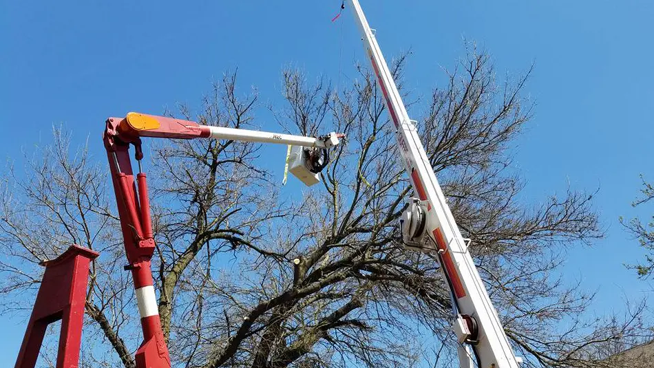 Arborist using boom lift and crane for safe tree trimming in O’Fallon, IL