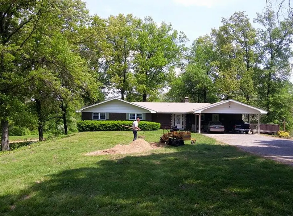 Worker operating stump grinder to remove tree stump in Collinsville, IL