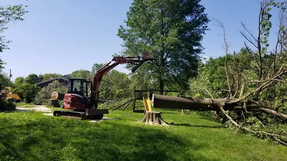 Excavator clearing debris and branches from front yard during tree removal in O’Fallon, IL